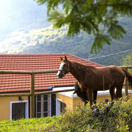 아파트 Casa Nord Silvano - Rustico Di Paese *