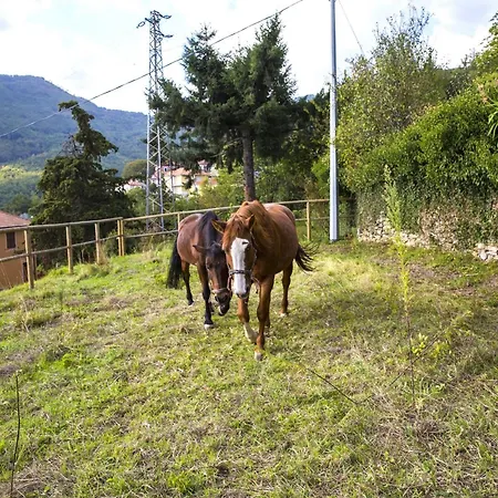 公寓 Casa Nord Silvano - Rustico Di Paese *